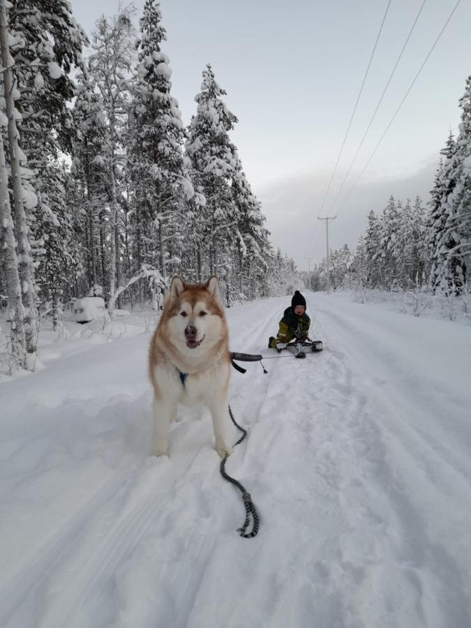 Villa Waeltti Rovaniemi Ngoại thất bức ảnh
