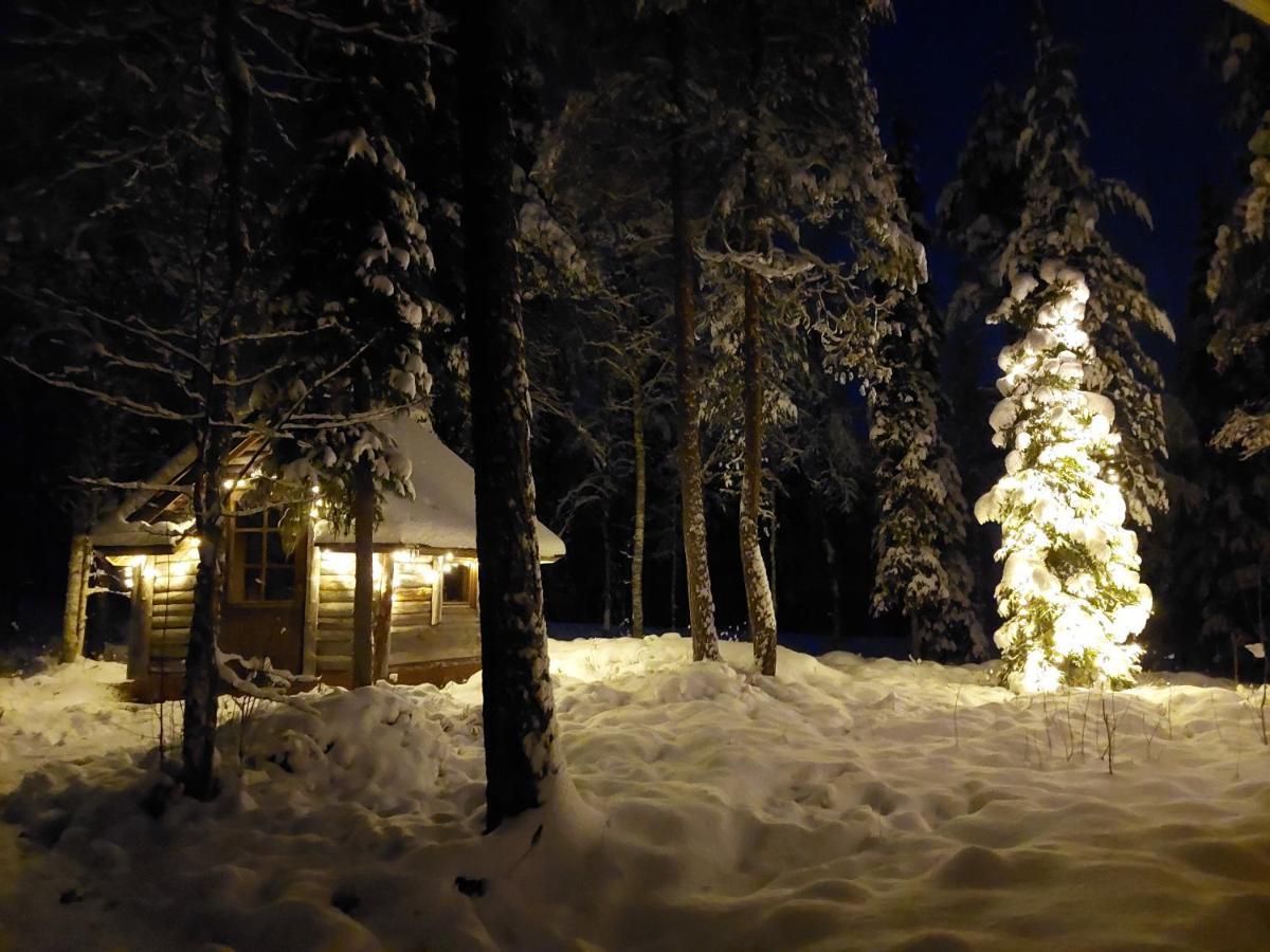 Villa Waltti Rovaniemi Ngoại thất bức ảnh