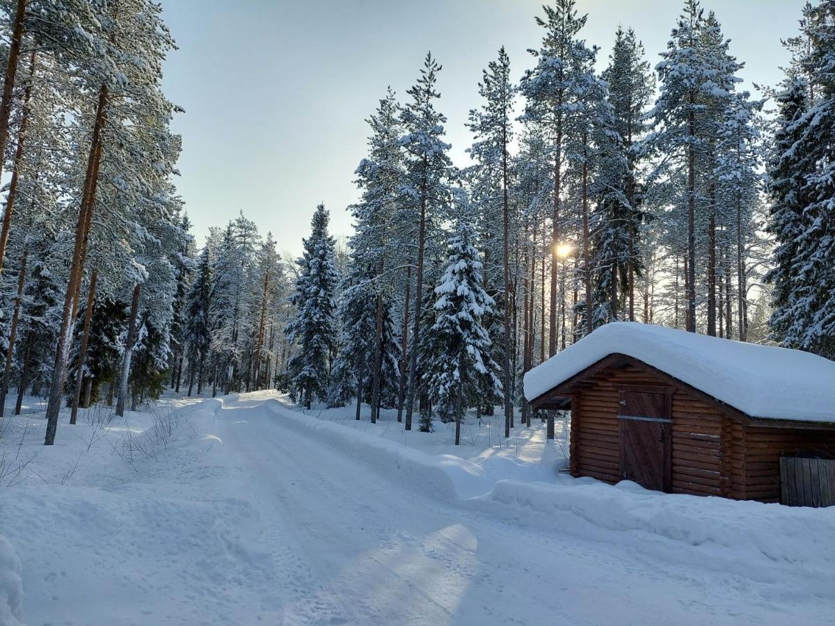 Villa Waltti Rovaniemi Ngoại thất bức ảnh